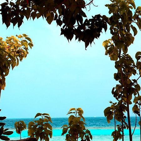 Pandanus Villa Velidhoo Exteriör bild