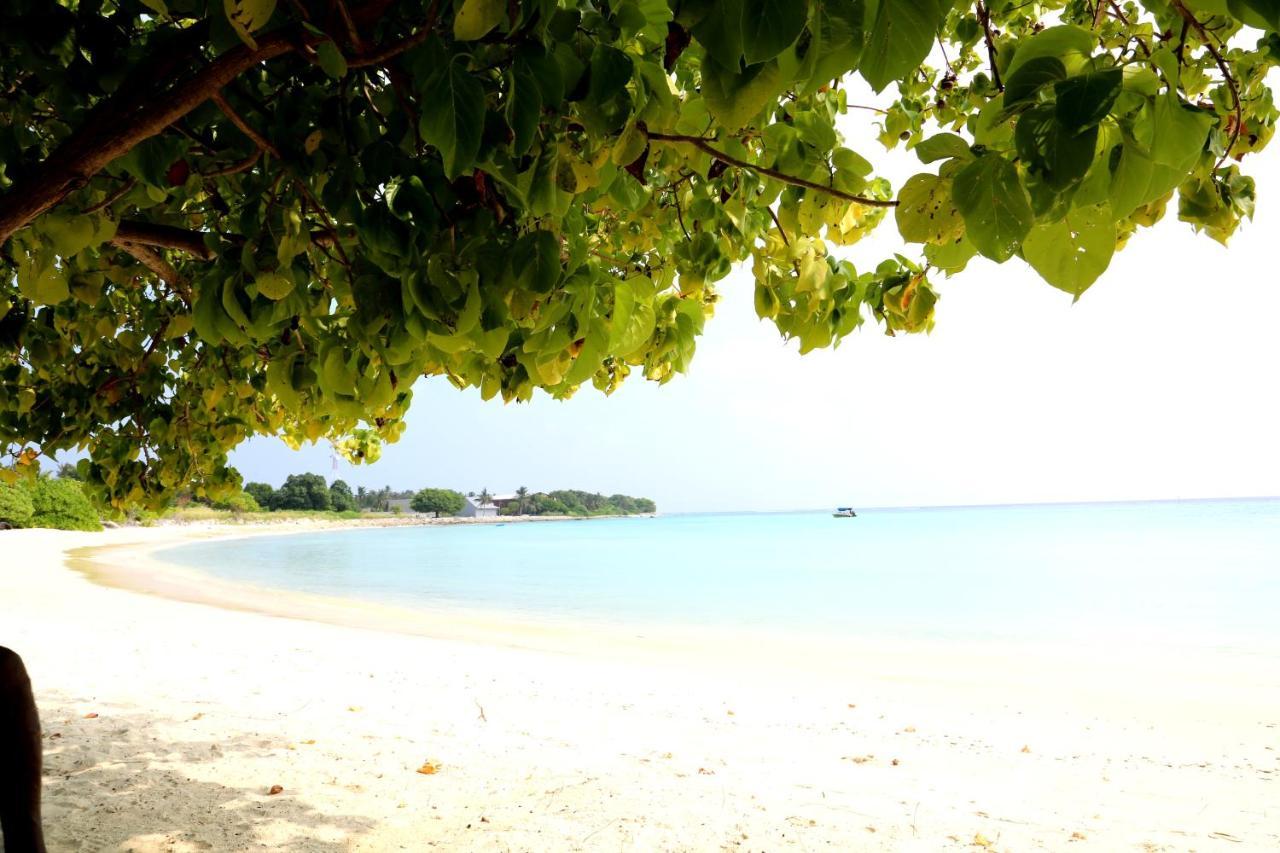 Pandanus Villa Velidhoo Exteriör bild