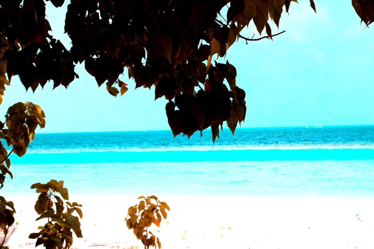 Pandanus Villa Velidhoo Exteriör bild